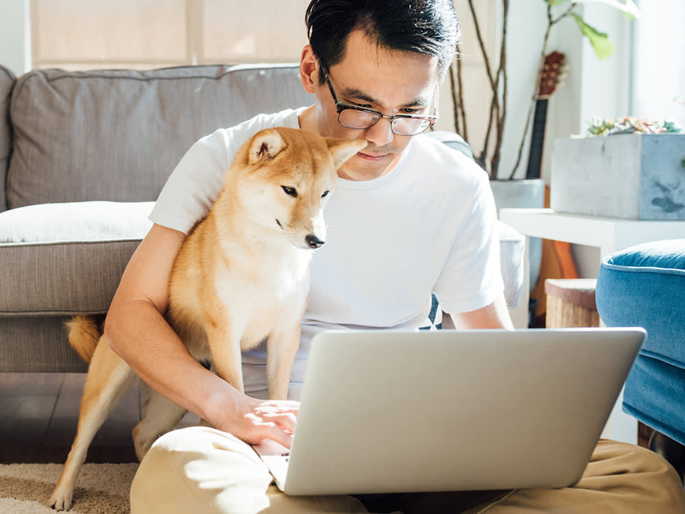 Pet Loss Coach Training Online Building Skills to Support Healing and Compassion