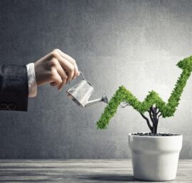 Expert Guidance on Business Growth
