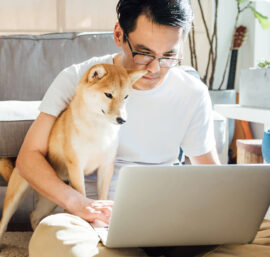 Pet Loss Coach Training Online: Building Skills to Support Healing and Compassion