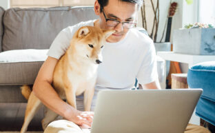 Pet Loss Coach Training Online Building Skills to Support Healing and Compassion