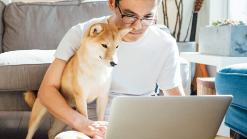 Pet Loss Coach Training Online Building Skills to Support Healing and Compassion