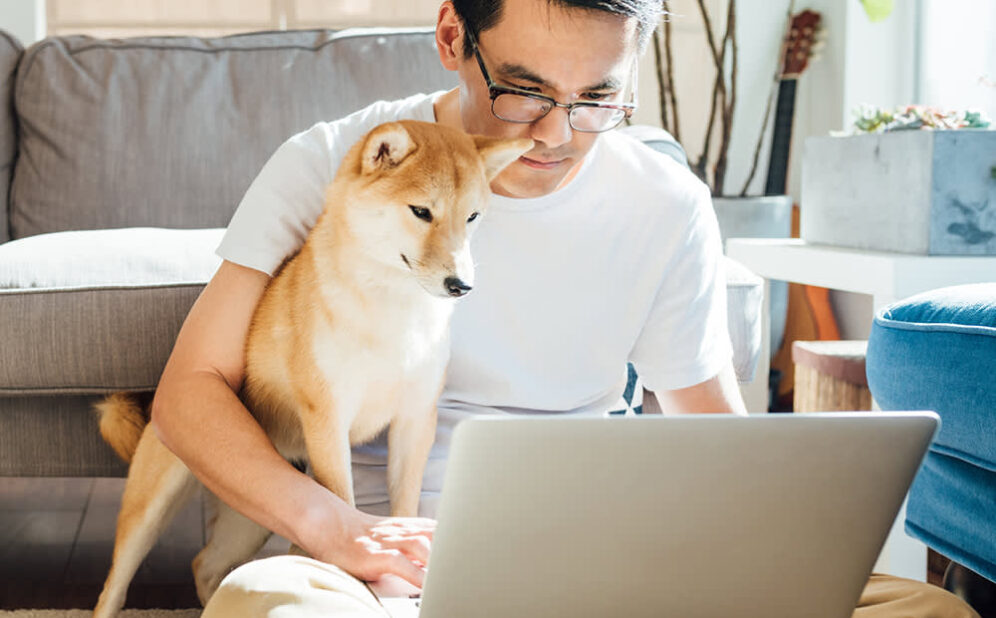 Pet Loss Coach Training Online Building Skills to Support Healing and Compassion